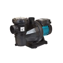 Pompe De Piscine Silver 22 M Espa - Haute Performance pour une Filtration Optimale