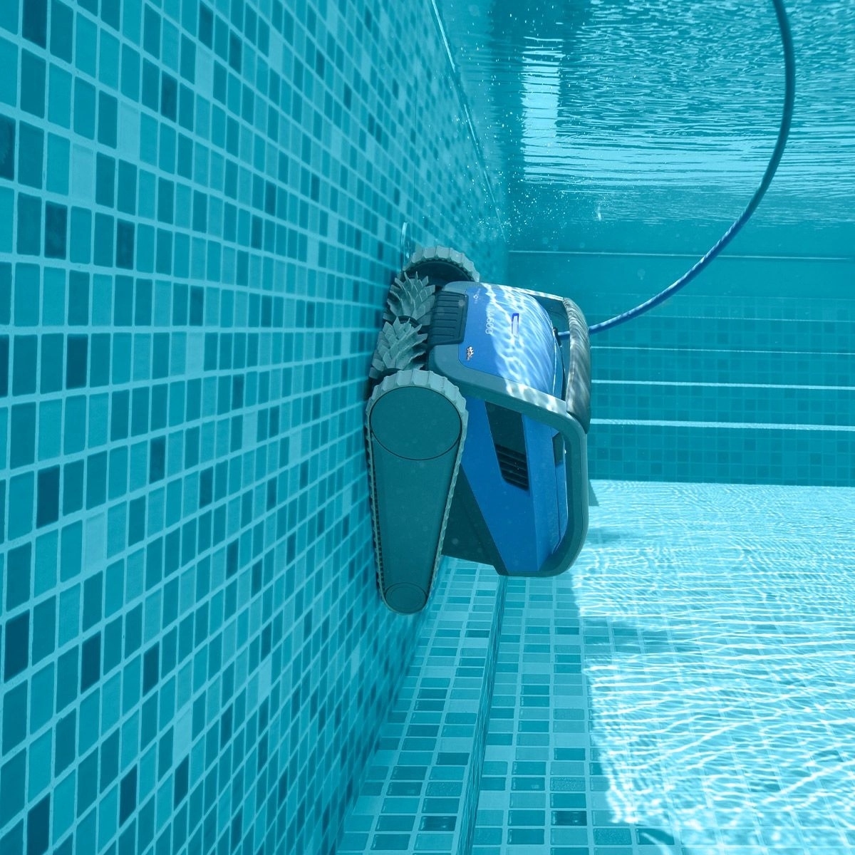 Robot De Piscine Electrique M600 Dolphin - Nettoyage Automatique et Efficace 3 Robot De Piscine Electrique M600 Dolphin - Nettoyage Automatique et Efficace – Image 3