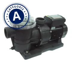 Pompe De Piscine STP 100 Reconditionnée (A) - Haute Performance pour Piscine Occasion