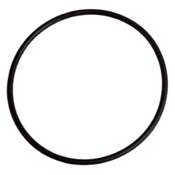 Joint De Dôme De Filtre Filclar AM Astral - Pièce Détachée pour Filtre de Piscine