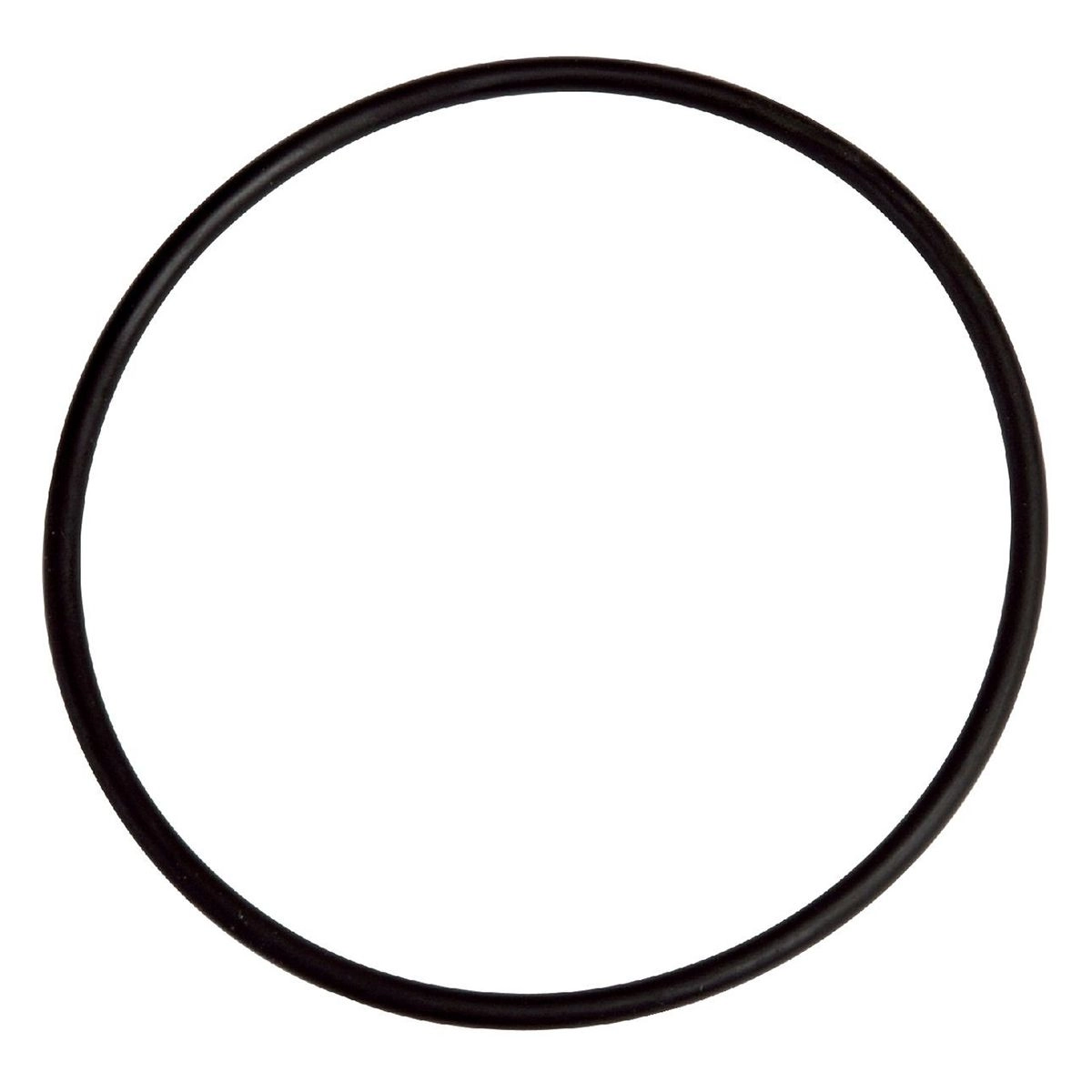 Joint De Dôme De Filtre Filclar AM Astral - Pièce Détachée pour Filtre de Piscine 1 Joint De Dôme De Filtre Filclar AM Astral - Pièce Détachée pour Filtre de Piscine